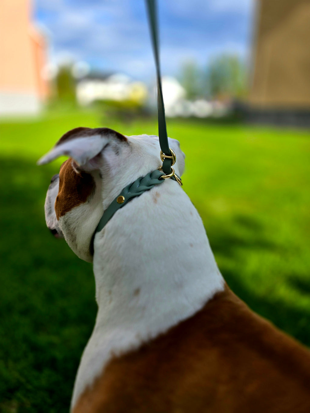 Retrieverkoppel Affe