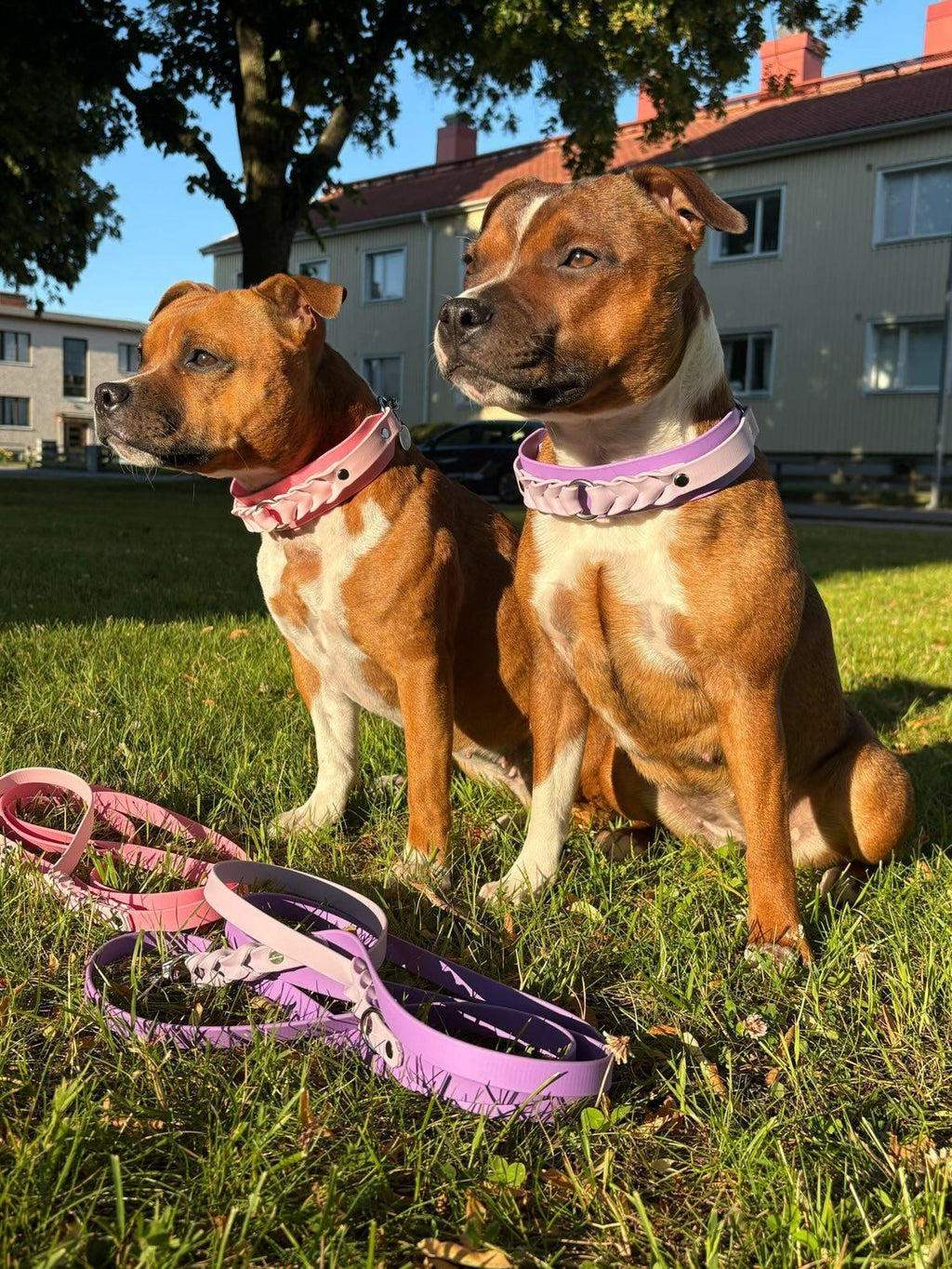 💜Dizzie och Zoes sommarkollektion🩷