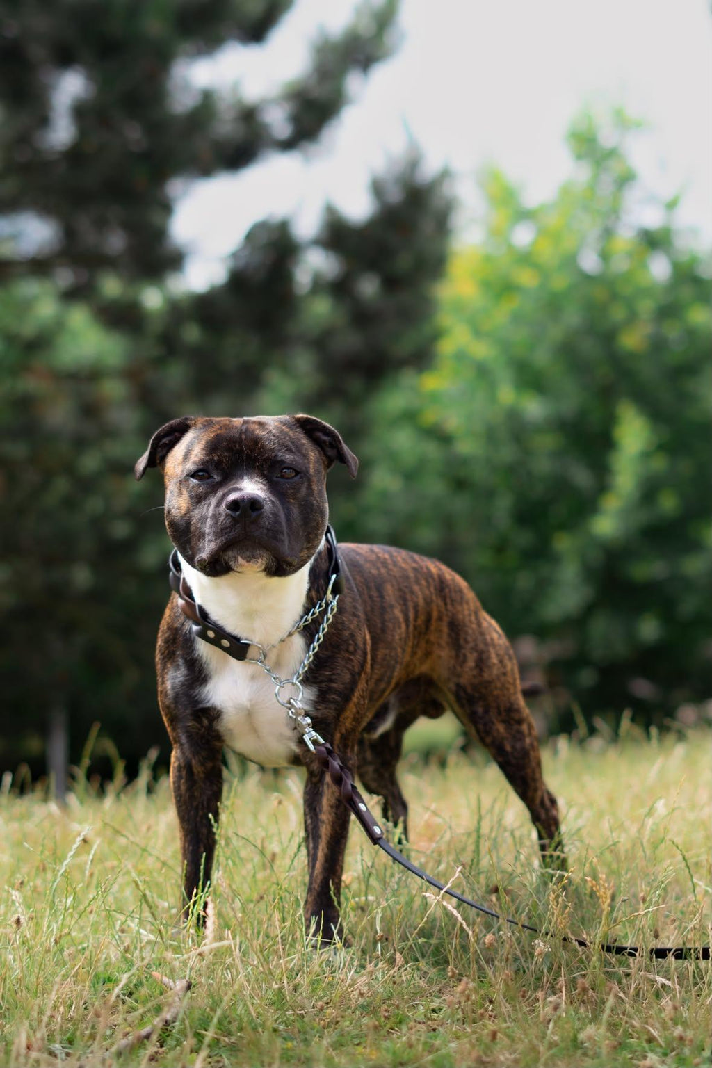Ralf